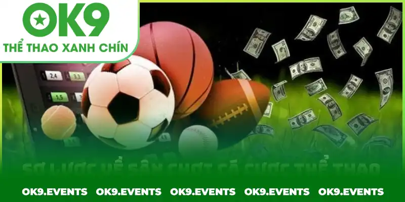 Sơ lược về sân chơi cá cược thể thao tại OK9 Sơ lược về sân chơi cá cược thể thao tại OK9