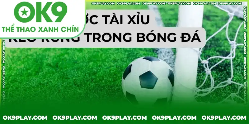 Kèo rung tài xỉu - lựa chọn hàng đầu của bet thủ Kèo rung tài xỉu - lựa chọn hàng đầu của bet thủ