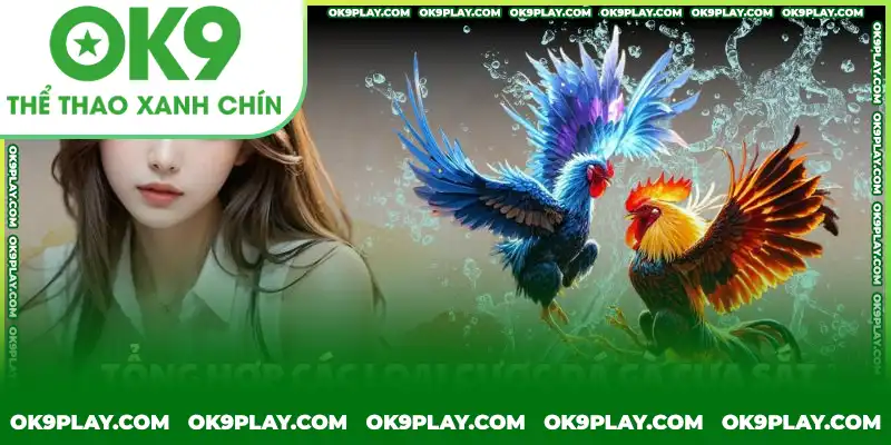 Có hai loại cược chính được giới thiệu đá gà cựa sắt Có hai loại cược chính được giới thiệu đá gà cựa sắt