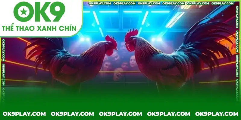 Một số cách chọn gà đá chuẩn Một số cách chọn gà đá chuẩn